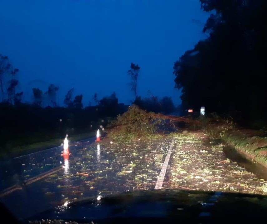 Chuva forte derruba árvores na BR-376 em Paranavaí