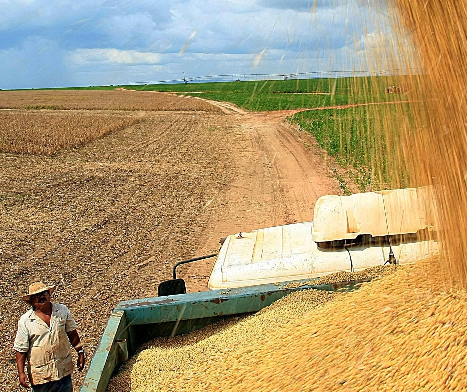 Atividade agropecuária teve redução de rentabilidade, avalia CNA