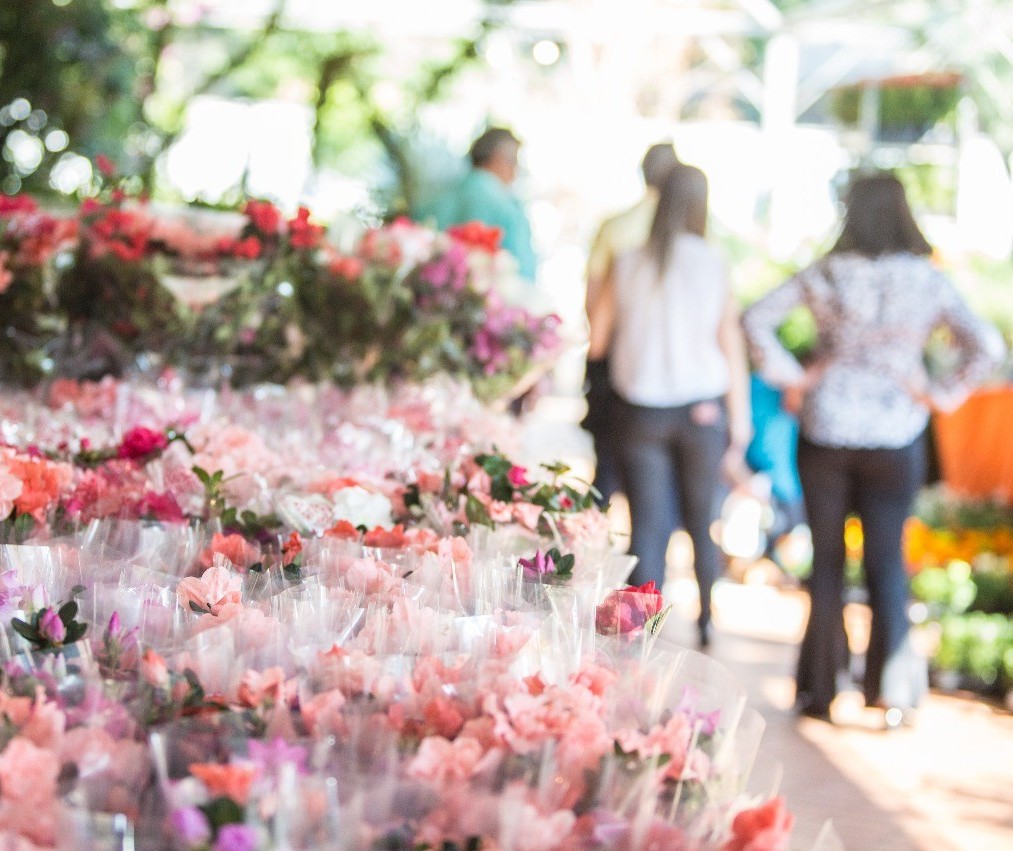 Expoflor começa nesta semana na praça Renato Celidônio