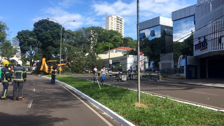 Árvore cai, derruba poste de alta tensão e motoristas ficam presos dentro de veículos, em Maringá