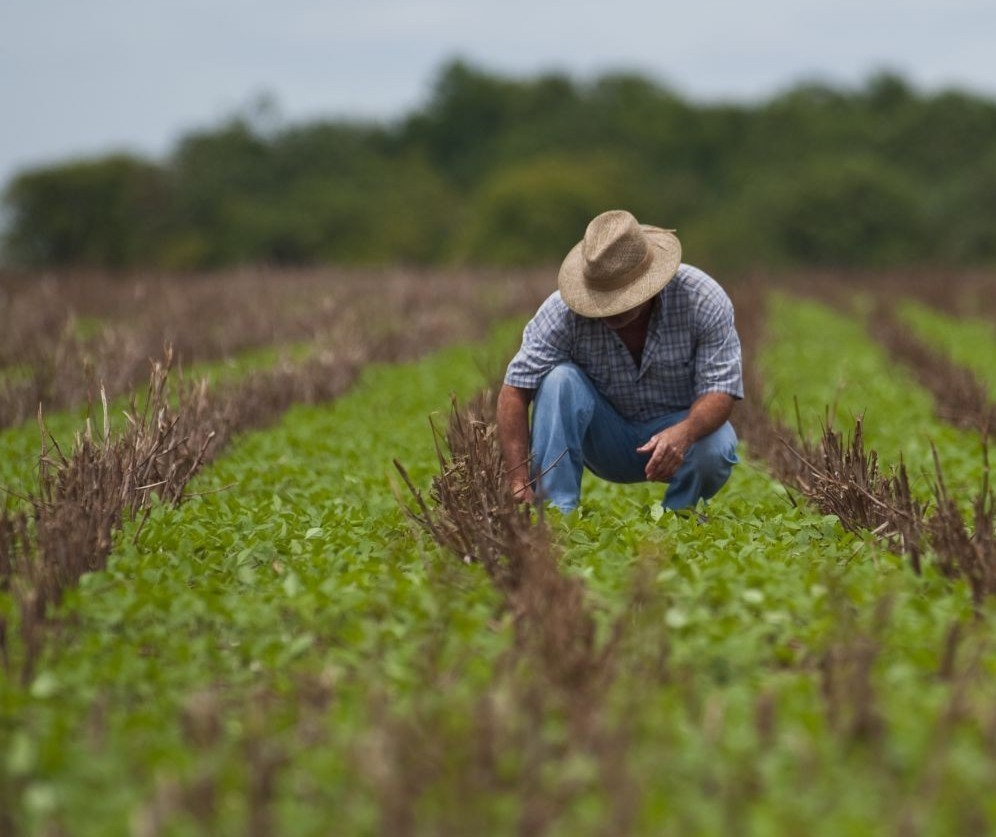 Contratação do crédito rural somou R$ 148,25 bilhões na safra 2022/23 até outubro 