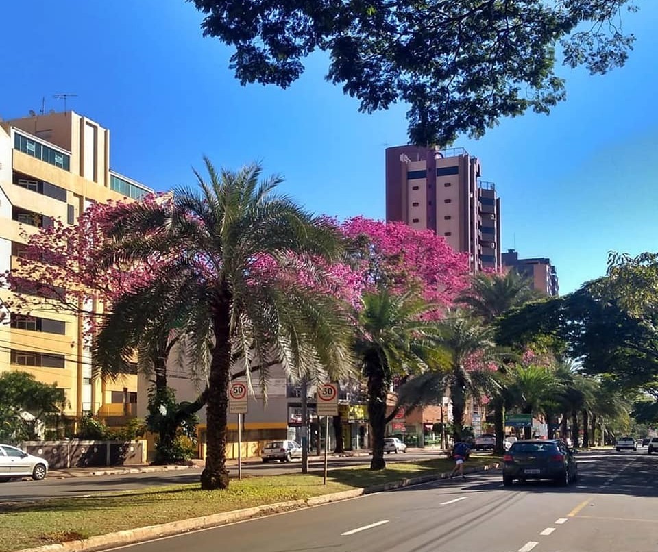 Domingo de carnaval será de sol e nuvens em Maringá