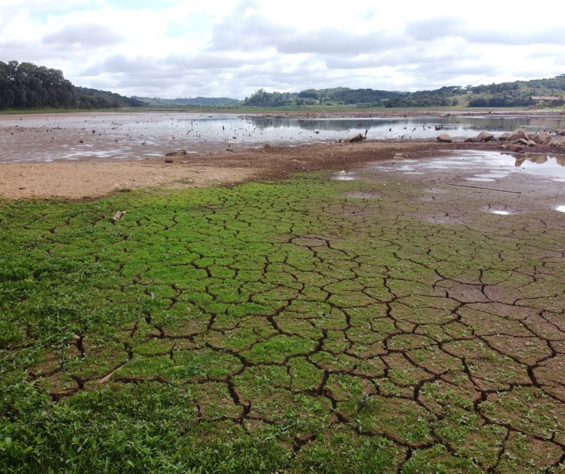 Mapa realiza levantamento de perdas causadas pela seca no Paraná