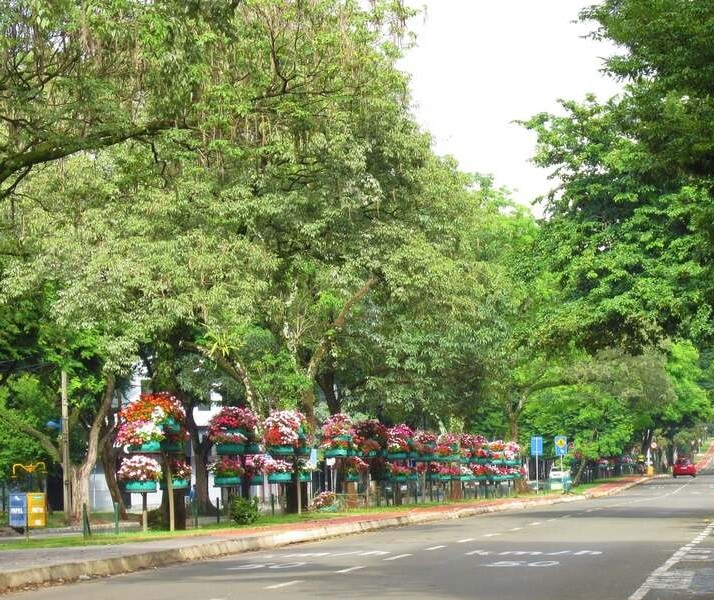 Maringá tem abril mais seco da história, diz Simepar