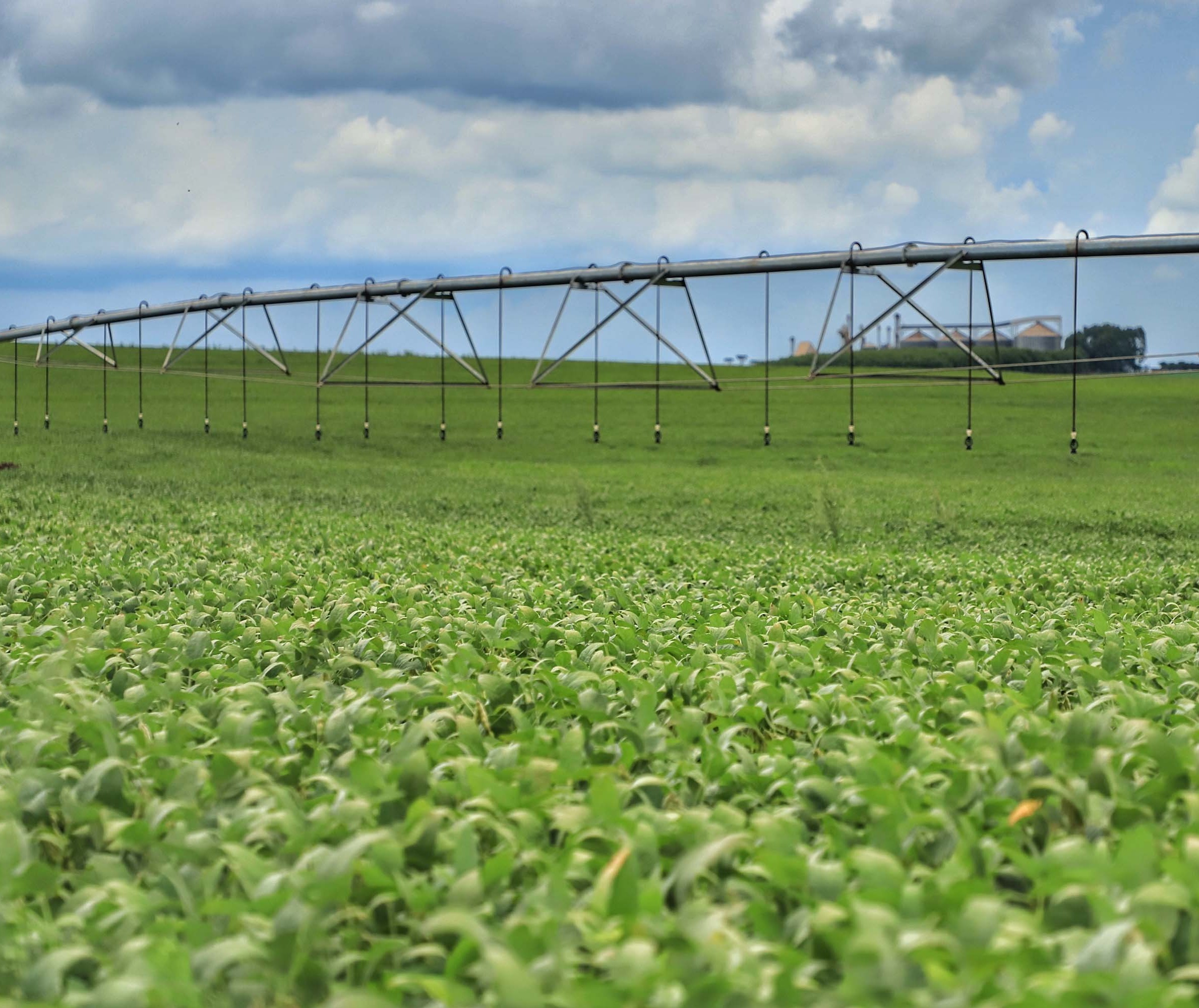 Colheita da safra de soja de 2021 e 2022 atingiu 68% da área plantada no Paraná