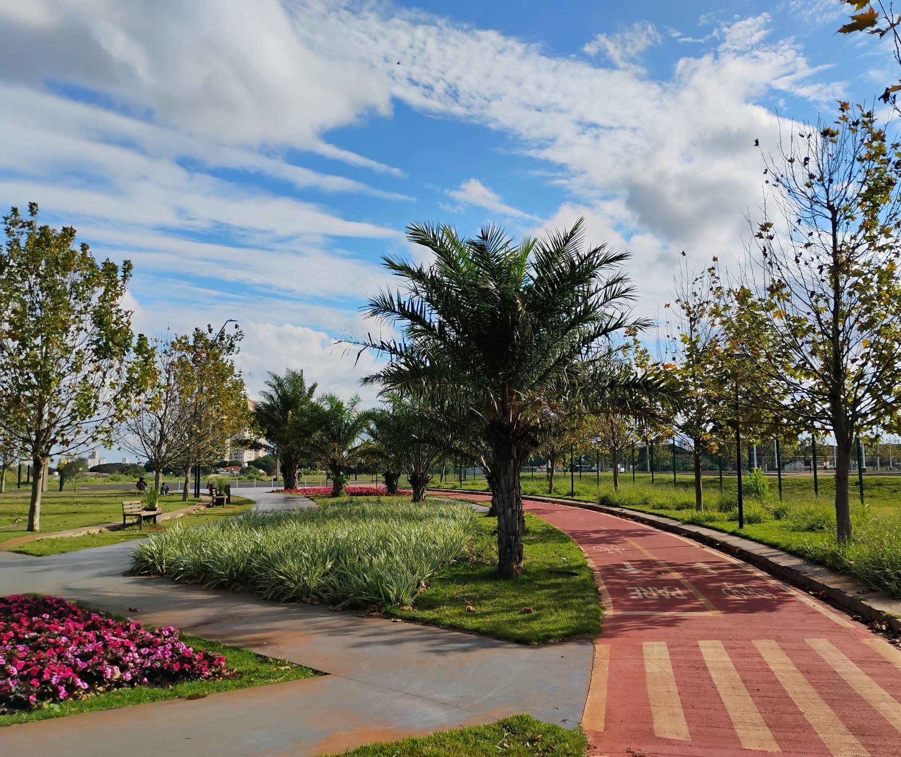 Sem chance de chuva, quinta-feira (3) será de sol entre nuvens em Maringá