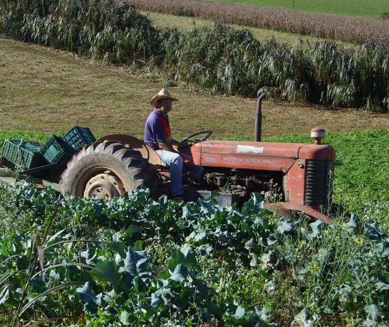 Capacidade de armazenamento valoriza produtos agrícolas