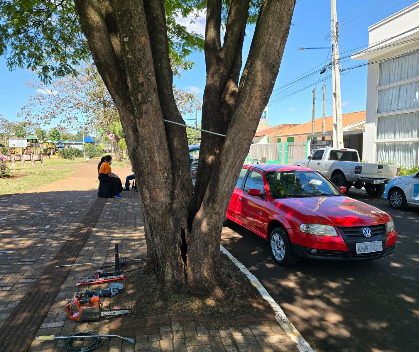 Na semana da árvore, Marialva parafusa tronco de Sibipiruna para salvar a planta