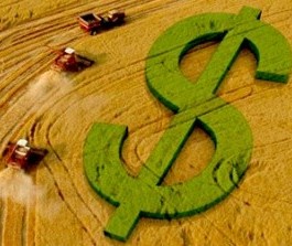Preços agrícolas estão com tendência de queda no Paraná