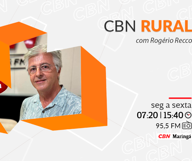 Estado do Paraná se destaca na indústria de papel e celulose