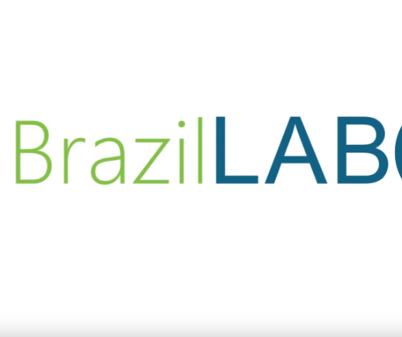 Conheça o BrazilLAB, que conecta empreendedores com o poder público