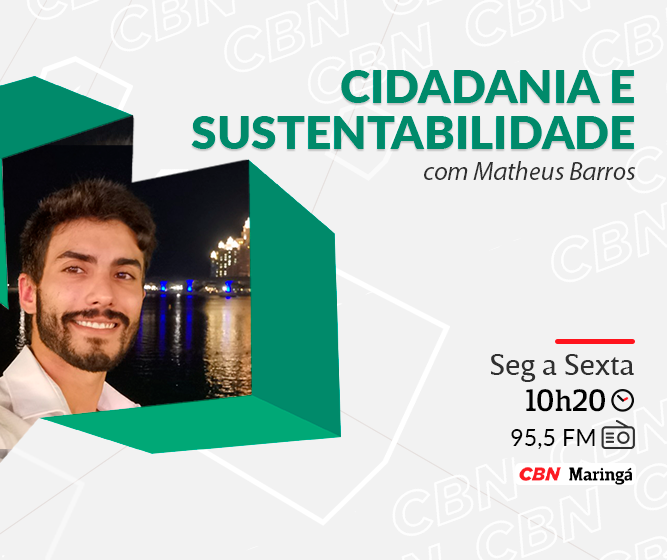 Conheça Afuá, a cidade brasileira sem carros