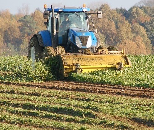 7 em cada 10 pessoas veem o agronegócio de modo positiva