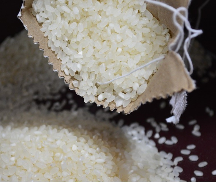Preço baixo do arroz não cobre custos da produção