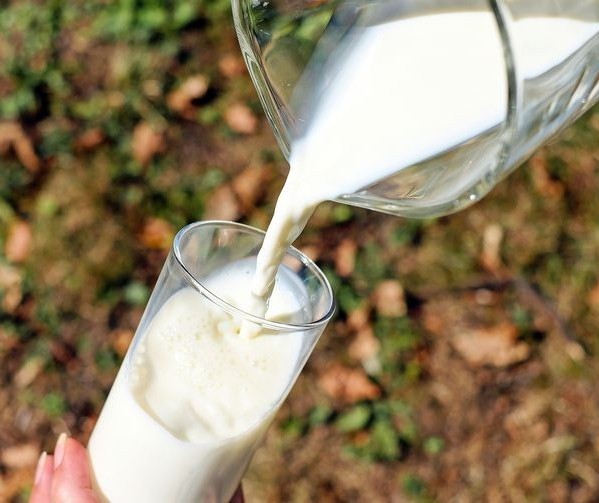 Preço do leite cai 7,9% em julho