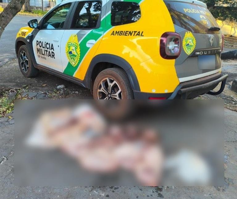 Morador de Vila Rural é multado por caça de animais em extinção