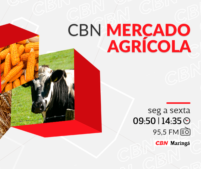 Trigo é vendido na média a R$ 72,80 a saca de 60 kg