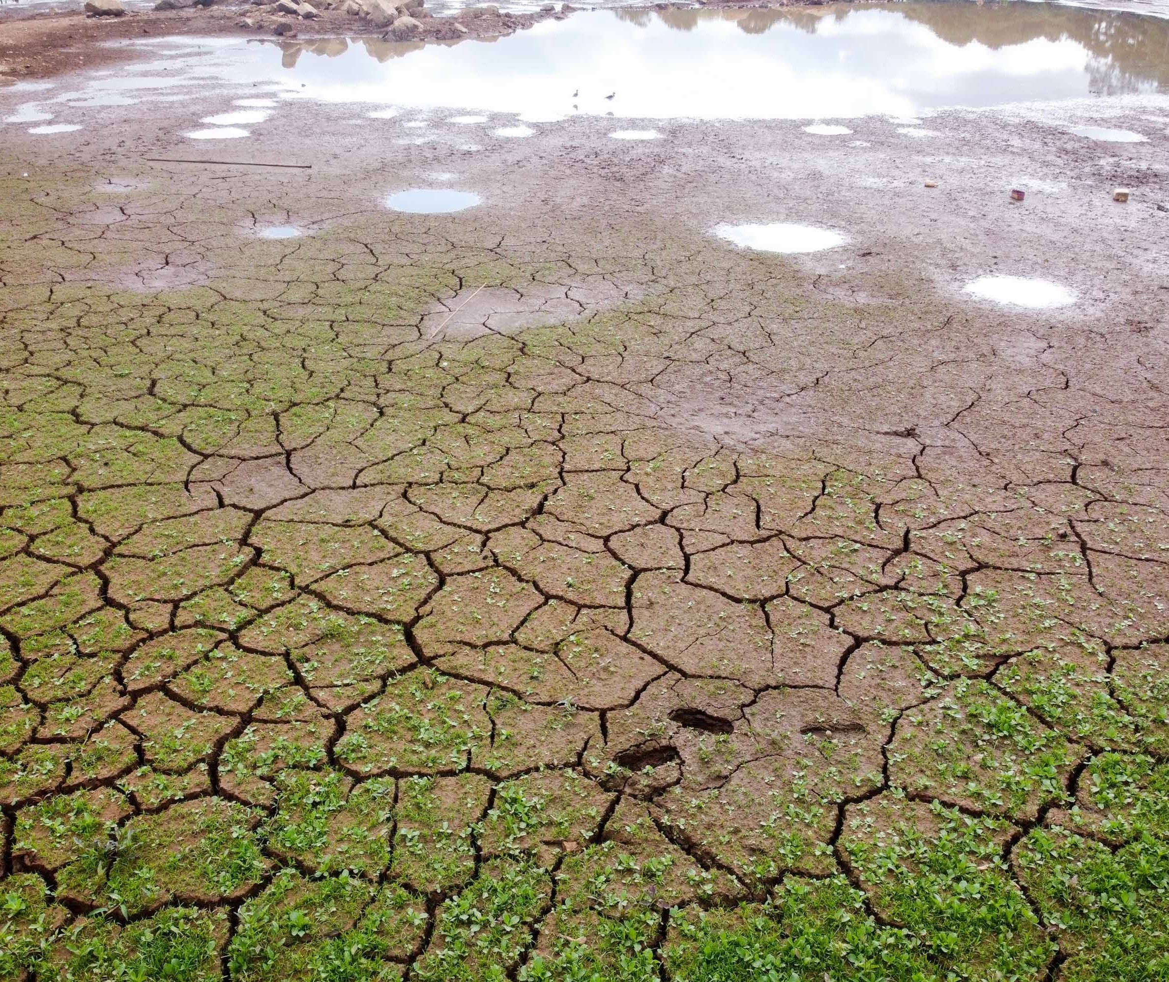 Crise hídrica amplia estimativa de perdas no setor agrícola