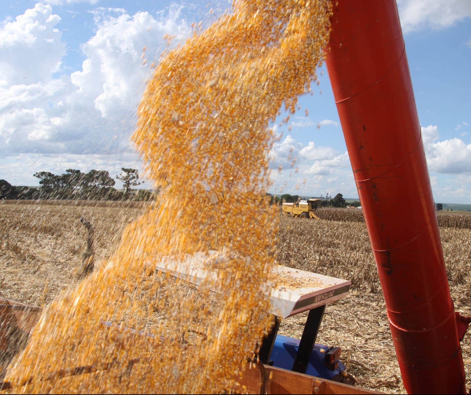 Safra de soja 2019/20 do Brasil é estimada em 122,6 milhões de toneladas 