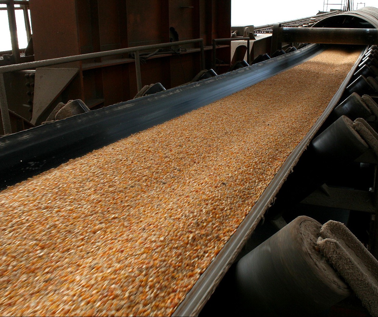Exportações de milho começam apresentando 1,170 mi de toneladas