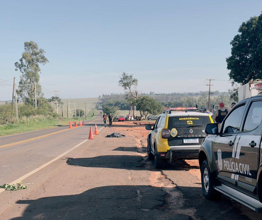 Animal solto em rodovia provoca acidente com morte