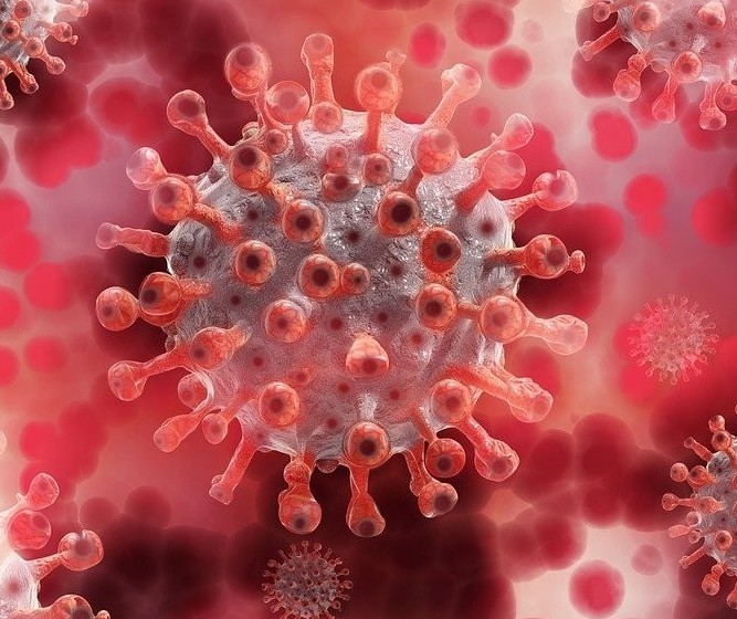 Coronavírus: Confira o boletim com os dados deste domingo (31) em Maringá