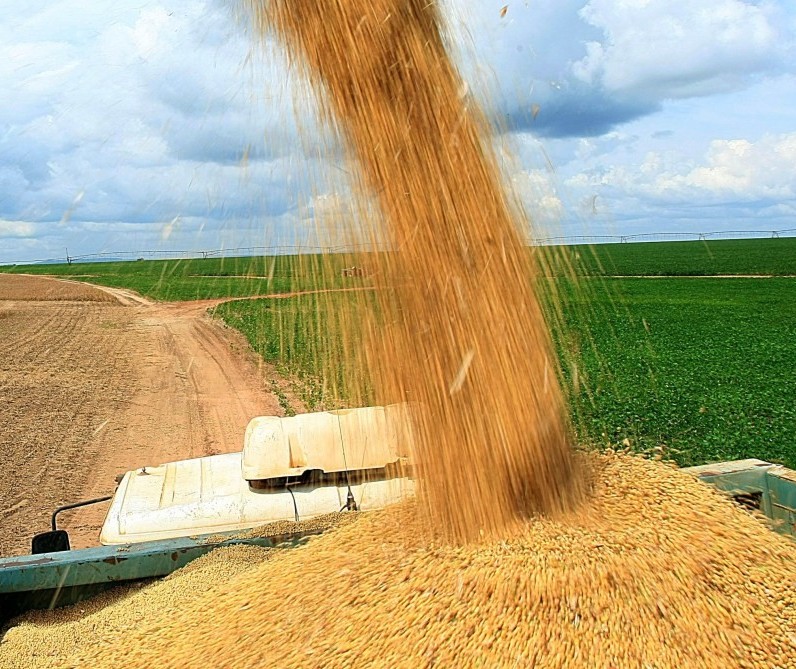 Produção paranaense de grãos deve chegar a 37,1 milhões de toneladas