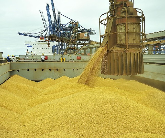Brasil está mais próximo dos EUA na liderança de produção de soja
