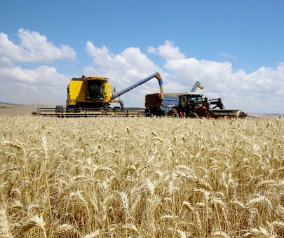 Índice de confiança do agronegócio bate recorde no terceiro trimestre