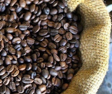 Café em coco custa R$ 5,90 kg na região de Maringá