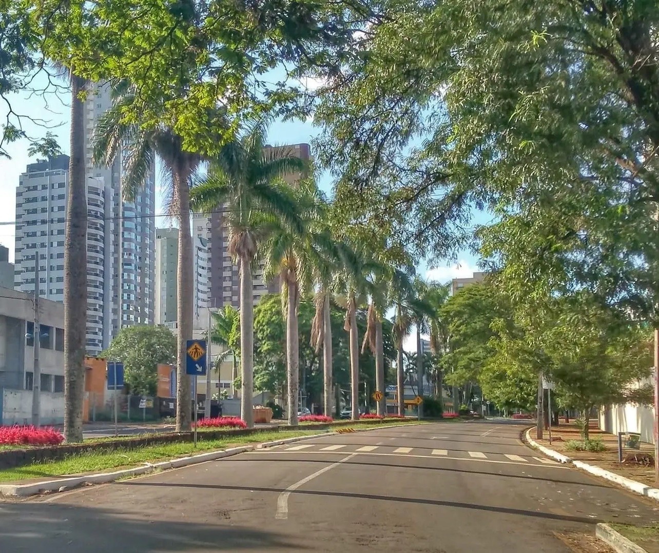 Em Maringá, tempo volta a ficar firme e máxima chega aos 32°C nesta sexta-feira