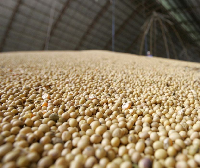 Produção de grãos da safra 2020/21 segue como maior da história: 268,9 milhões de toneladas