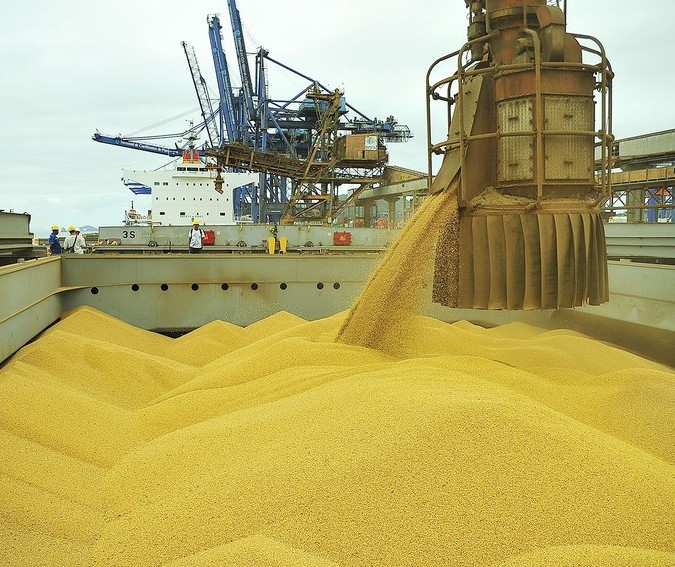 Levantamento mantém previsão de segunda maior colheita de grãos no Brasil