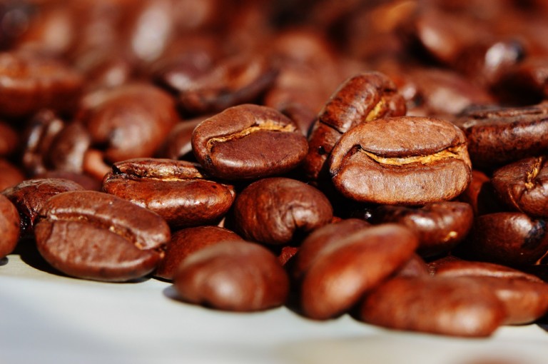 Produção de café safra 2017, rendeu 28 sacas de café beneficiada