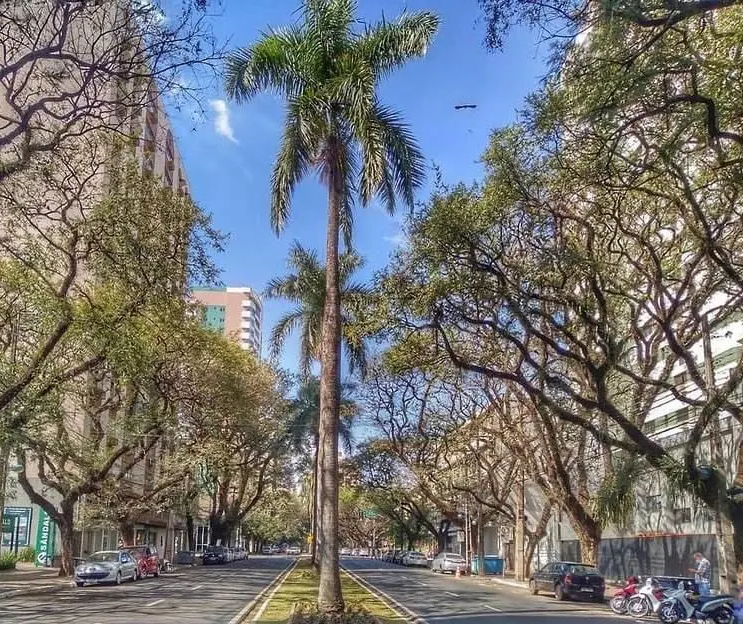 Maringá: Tempo abafado e calor intenso nesta quarta-feira, com máxima de 36°C