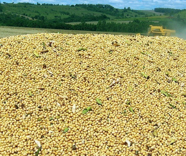 Soja custa R$ 75 a saca em Campo Mourão