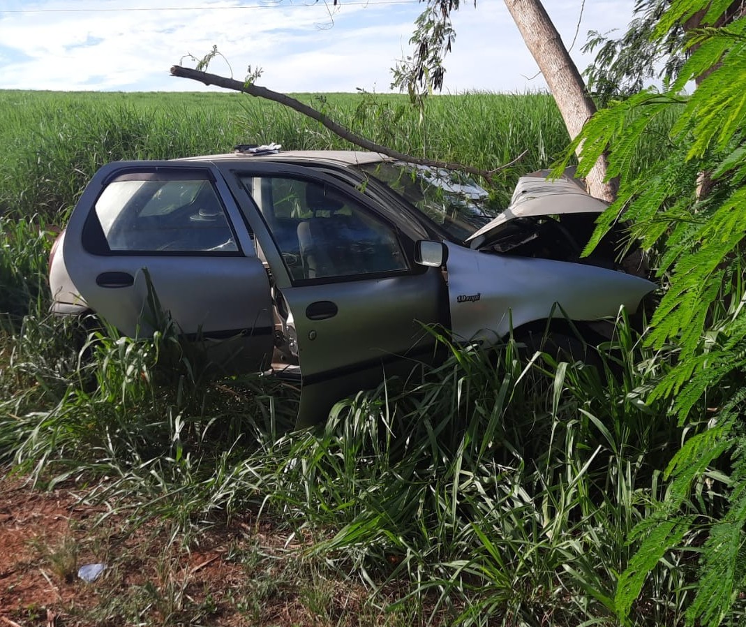 Condutor morre após bater carro contra árvore na PR-542