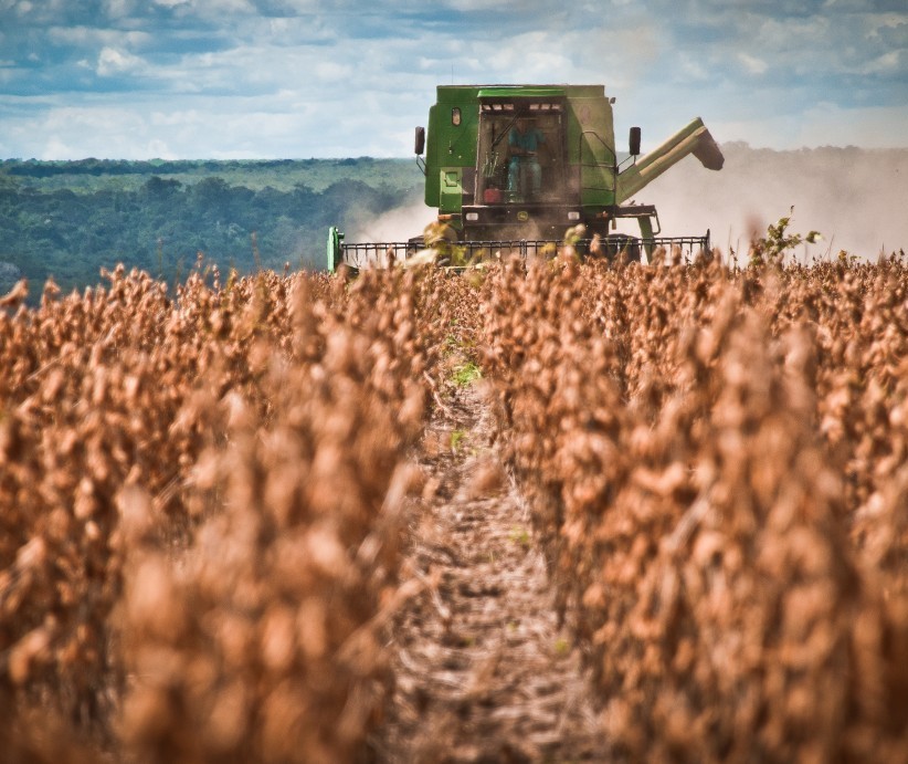 Paraná deve colher 19,5 milhões de toneladas de soja 