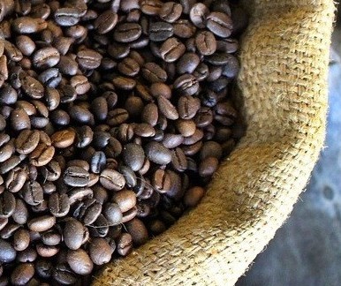 Café em coco custa R$ 5,90 kg em Maringá