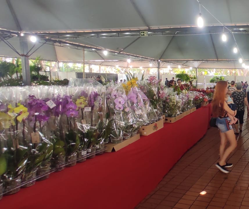 Feira comercializa mais de 130 espécies de flores em Maringá 