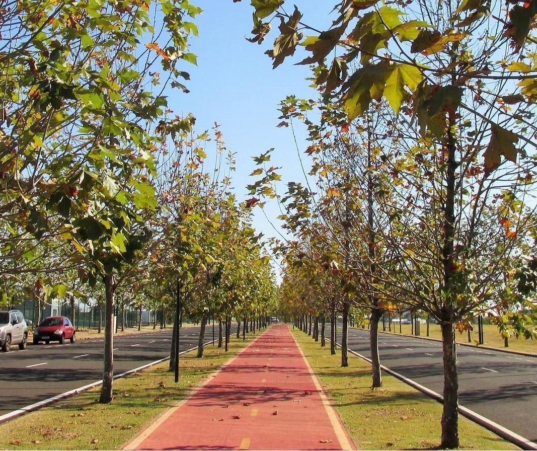 Segunda-feira (25) será de tempo firme e calor em Maringá