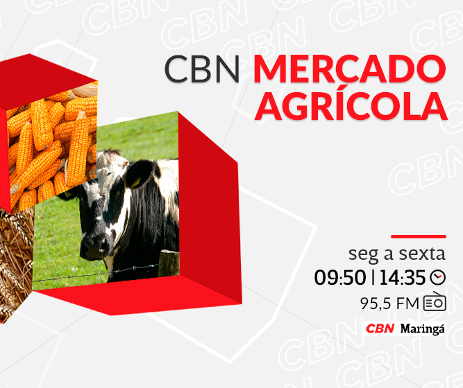 Saca de 60 kg da soja recua para R$ 117,00