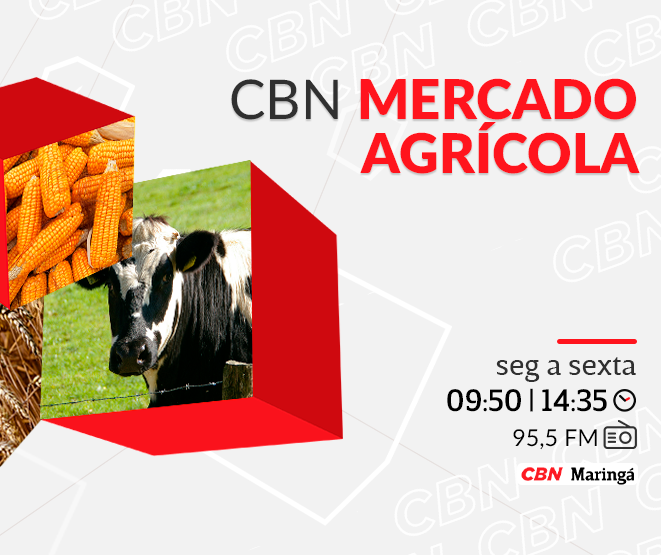 Feijão carioca custa na média R$ R$ 277,02