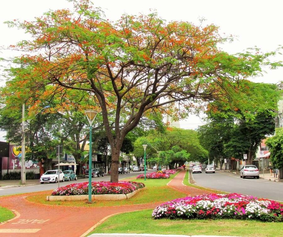 Tempo estável e máxima de 30ºC neste feriado em Maringá