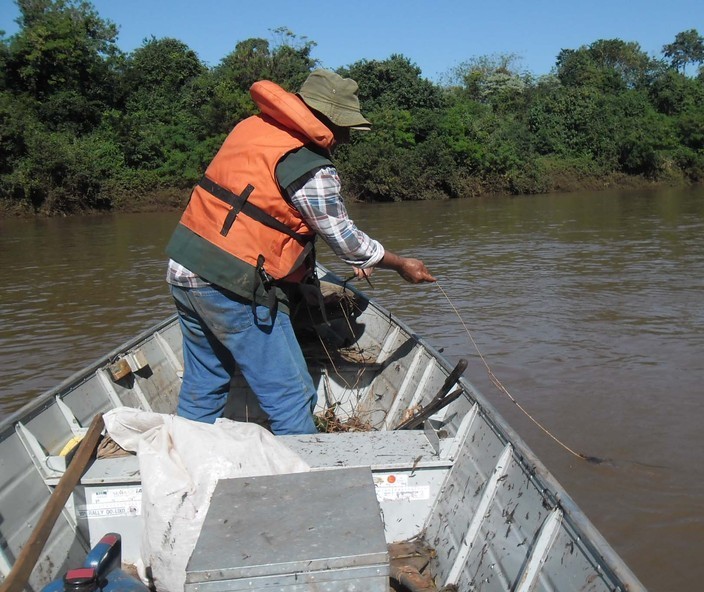 Pesca de espécies nativas volta a ser liberada nos rios do Paraná