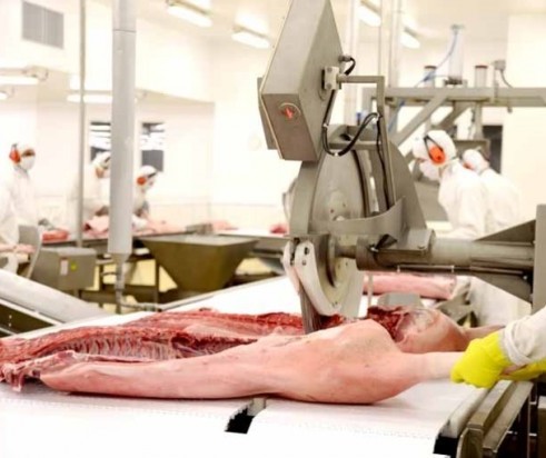 Paraná poderá dobrar as exportações de carne suína