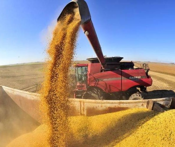 Paraná deve produzir 39 milhões de toneladas de grãos este ano