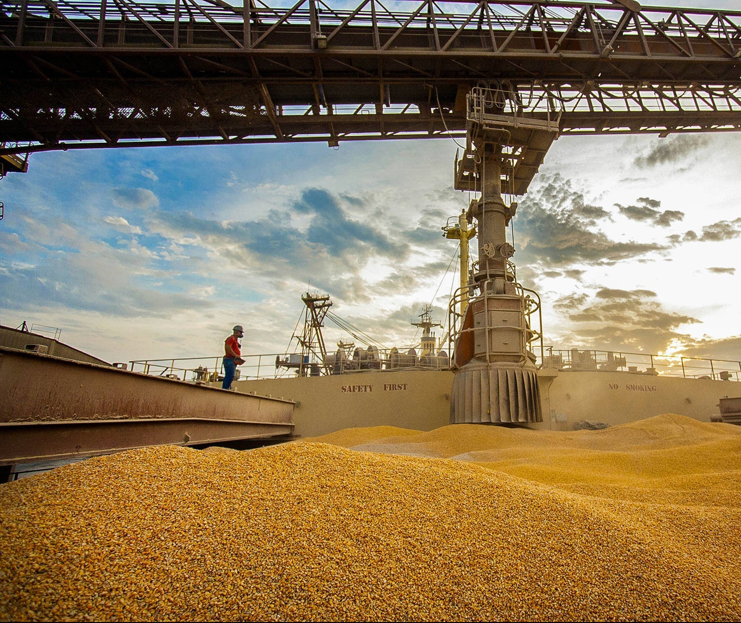 Brasil exporta 60 mil toneladas de milho para os EUA 