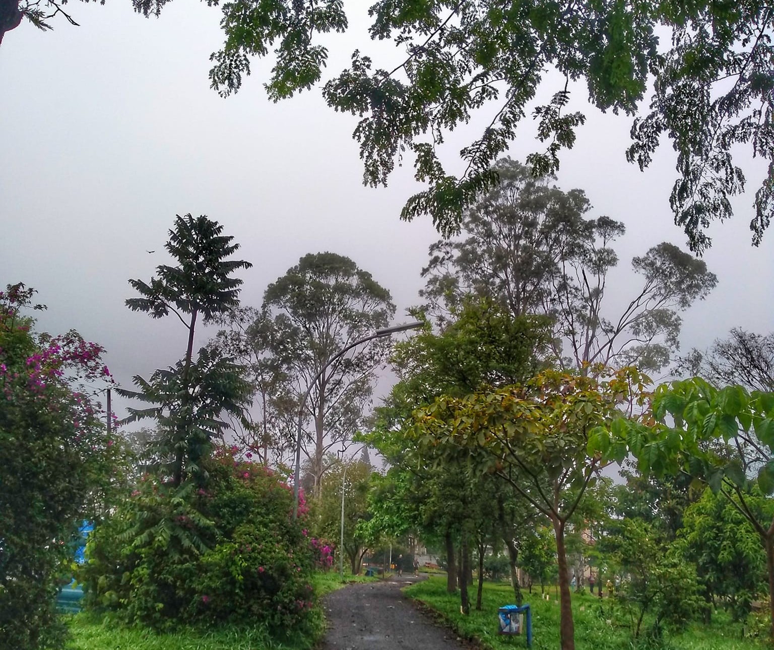 Em Maringá, semana começa com previsão de chuva e temperaturas amenas 