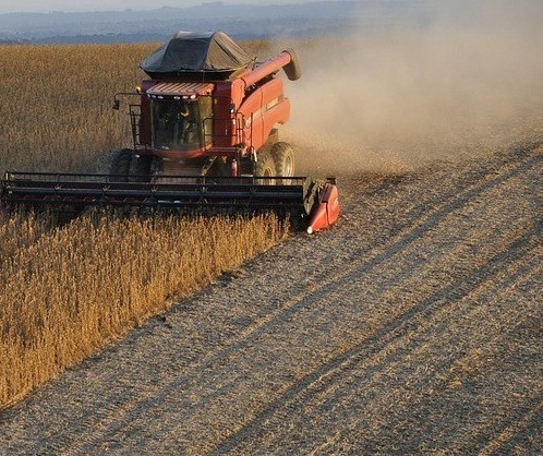 Brasil e Portugal se tornam bons parceiros comerciais